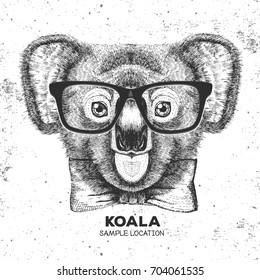 Hipster animal koala. Hand drawing Muzzle of koala