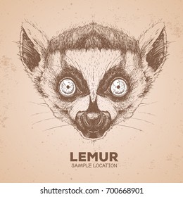 Hipster animal lemur. Hand drawing Muzzle of animal  lemur