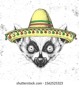 Hipster animal lemur wearing a sombrero hat. Hand drawing Muzzle of lemur