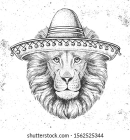 Hipster animal lion wearing a sombrero hat. Hand drawing Muzzle of lion