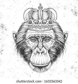 Hipster animal monkey in crown. Hand drawing Muzzle of chimpanzee