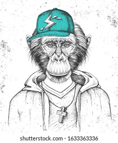 Hipster animal monkey dressed in cap like rapper. Hand drawing Muzzle of chimpanzee