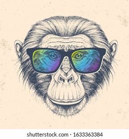 Hipster animal monkey. Hand drawing Muzzle of chimpanzee