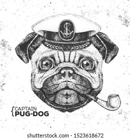 Hipster animal pug dog captain's cap and smoking pipe. Hand drawing Muzzle of pug dog