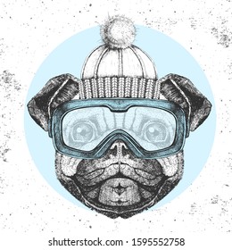 Hipster animal pug dog in winter hat and snowboard goggles. Hand drawing Muzzle of pug dog