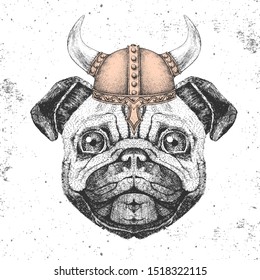 Hipster animal pug-dog wearing a viking helmet. Hand drawing Muzzle of pug-dog