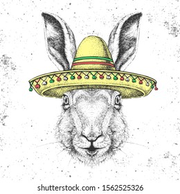 Hipster animal rabbit wearing a sombrero hat. Hand drawing Muzzle of rabbit