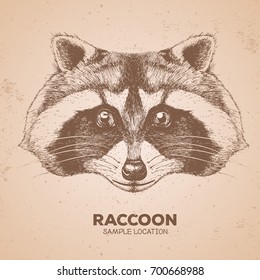 Hipster animal raccoon. Hand drawing Muzzle of animal  raccoon