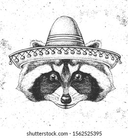 Hipster animal raccoon wearing a sombrero hat. Hand drawing Muzzle of raccoon