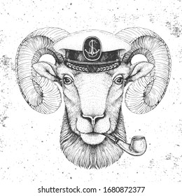 Hipster Animal Ram Or Mouflon In Captain's Cap And Smoking Pipe. Hand Drawing Muzzle Of Ram