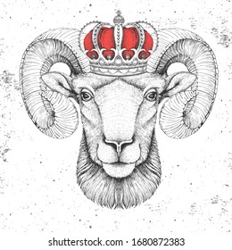 Hipster animal ram or mouflon in crown. Hand drawing Muzzle of ram