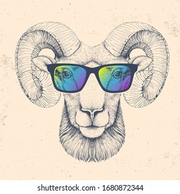 Bélier ou mouflon avec lunettes. Dessin à la main Museau de bélier