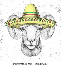 Hipster animal ram or mouflon wearing a sombrero hat. Hand drawing Muzzle of ram