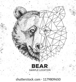 Hipster animal realistic and polygonal bear face. Triangle animal