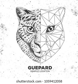 Hipster animal realistic and polygonal cheetah face. Triangle animal