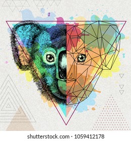 Hipster animal realistic and polygonal koala on artistic watercolor background