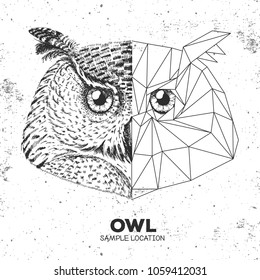 Hipster animal realistic and polygonal owl face. Triangle animal