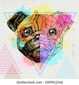 Hipster animal realistic and polygonal pug-dog on artistic watercolor background