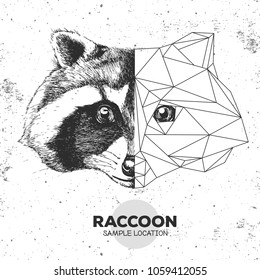 Hipster animal realistic and polygonal raccoon face. Triangle animal