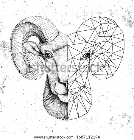 Hipster animal realistic and polygonal ram or mouflon face on grunge background. Astrology zodiac sign Aries