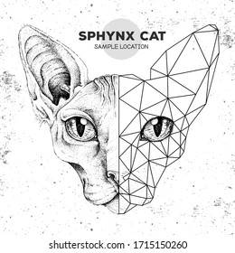 Hipster animal realistic and polygonal sphynx cat face on grunge background.