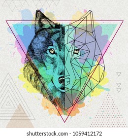 Hipster animal realistic and polygonal wolf on artistic watercolor background