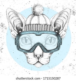 Hipster animal sphynx cat in winter hat and snowboard goggles. Hand drawing Muzzle of cat