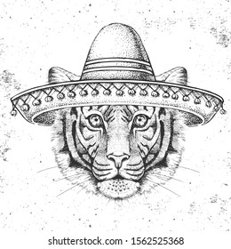 Hipster animal tiger wearing a sombrero hat. Hand drawing Muzzle of tiger