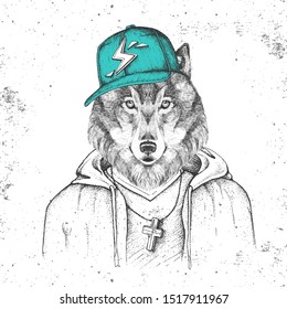 Hipster animal wolf dressed in cap like rapper. Hand drawing Muzzle of wolf