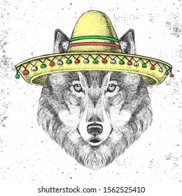 Hipster animal wolf wearing a sombrero hat. Hand drawing Muzzle of wolf