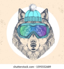 Hipster animal wolf in winter hat and snowboard goggles. Hand drawing Muzzle of wolf