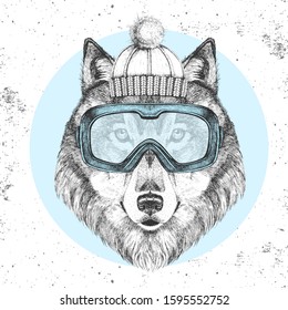 Hipster animal wolf in winter hat and snowboard goggles. Hand drawing Muzzle of wolf
