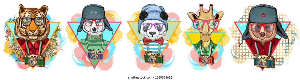 Colección de animales hipster. Panda, jirafa, oso, perro, tigre