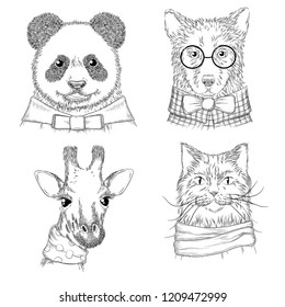 Hipster animals. Fashion adult illustrations wild animals in various clothes vector hand drawn sketches. Animal hipster wild panda and cat, bear and giraffe