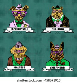 Hipster animals set dog, Large group of breeds, isolated vector art