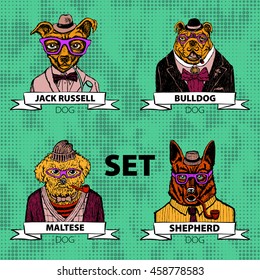 Hipster animals set dog, Large group of breeds, isolated vector art