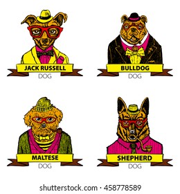 Hipster animals set dog, Large group of breeds, isolated vector art