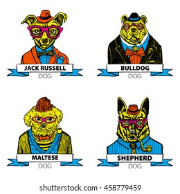 Hipster animals set dog, Large group of breeds, isolated vector art