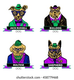 Hipster animals set dog, Large group of breeds, isolated vector art