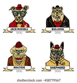 Hipster animals set dog, Large group of breeds, isolated vector art