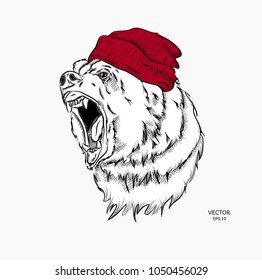 
Hipster bear in cap. Vector illustration