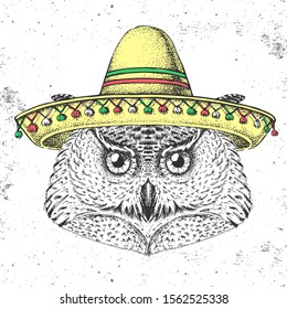 Hipster bird owl wearing a sombrero hat. Hand drawing Muzzle of owl