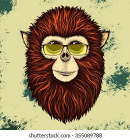 Hipster Burmese monkey  with yellow sunglasses.Vector illustration