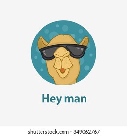 Hipster camel with glasses