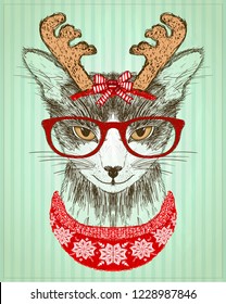 Hipster cat dressed in red glasses and deer horns hat and red knitted sweater, new year card, christmas pet funny illustration