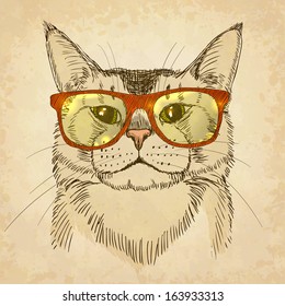Hipster Cat  Vector illustration  eps10 