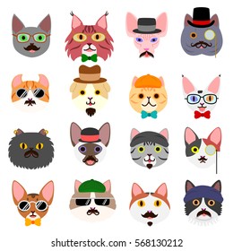 hipster cats faces set
