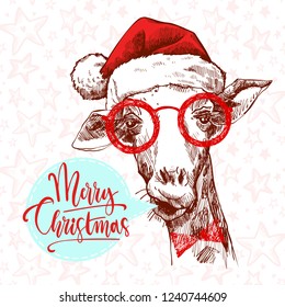 A hipster christmas giraffe. Hand drawn giraffe in glasses, Santa's hat. Sketch of the giraffe facial head. Giraffe with divergent rays from him.