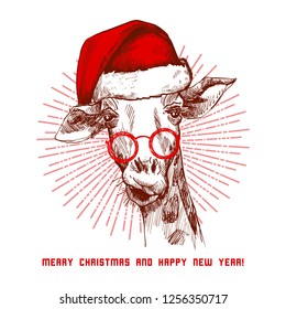 A hipster christmas giraffe. Hand drawn giraffe Santa in glasses for poster. Sketch of the giraffe facial head. Giraffe with divergent rays from him.