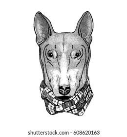 Hipster dog Bull Terrier Image for tattoo, logo, emblem, badge design